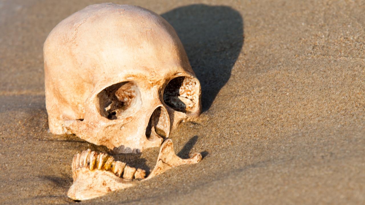 Were mystery holes in skulls an ancient aspirin?