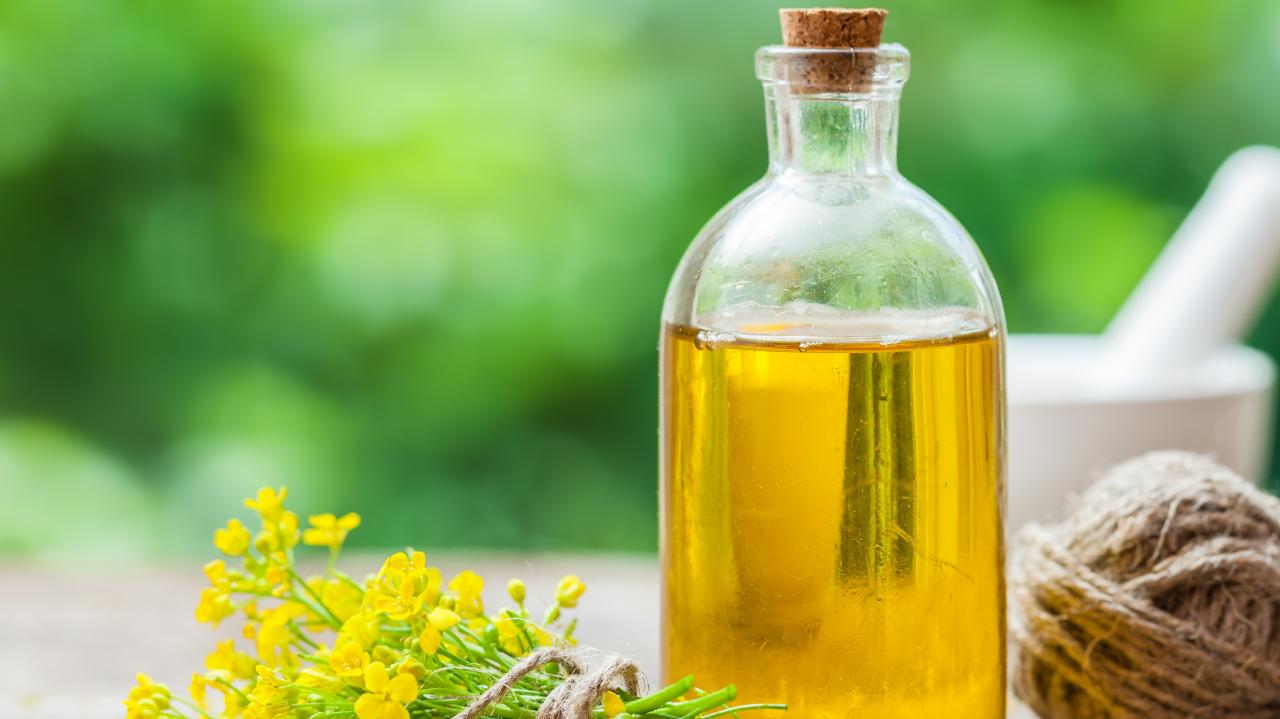 Are Seed Oils Bad for You? A Review of the Research