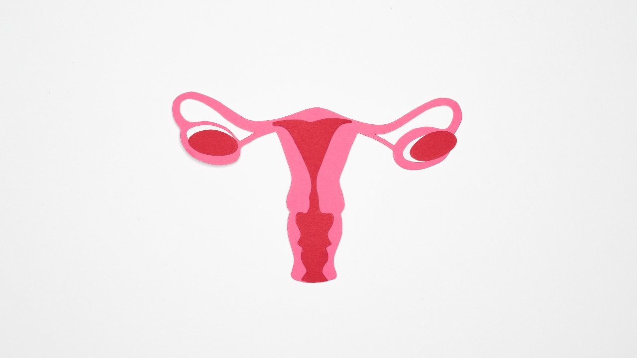 These Signs Reveal If You Have A Tilted Uterus