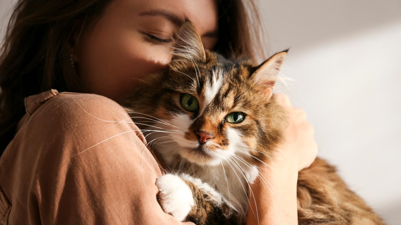 Far too many cat owners are making these 5 mistakes